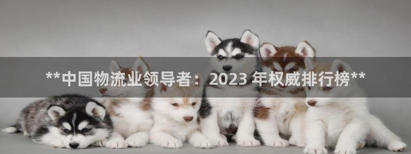 28圈ip被限制怎么解决：**中国物