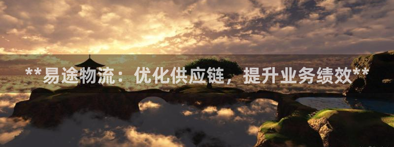 28圈官网平台：**易途物流：优化供