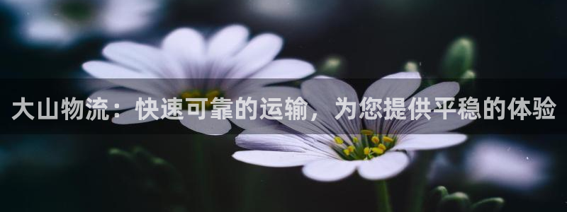 28圈分分压单双技巧：大山物流：快速