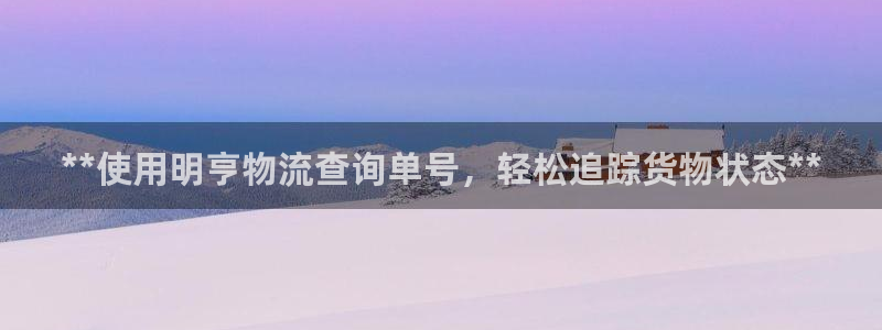 28圈官网注册：**使用明亨物流查询
