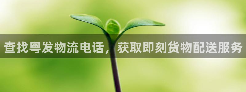 28圈APP是干什么的