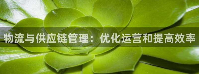 28圈登录