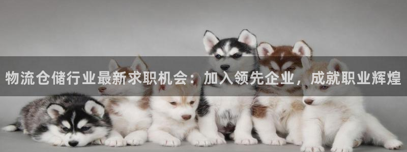 28圈怎么下载不了