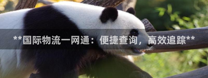 28圈黑钱