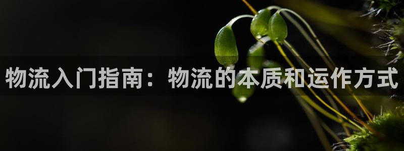 28圈提现不到账