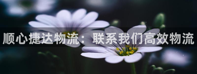 28圈注册账号：顺心捷达物流：联系我