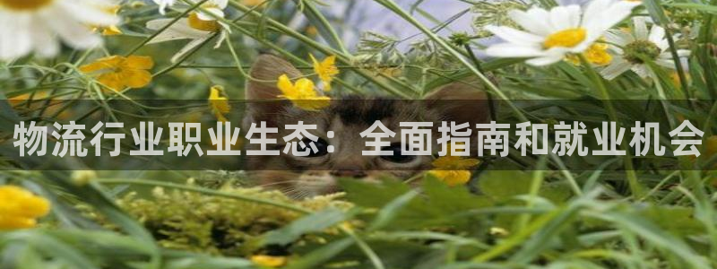 28圈PG电子游戏：物流行业职业生态