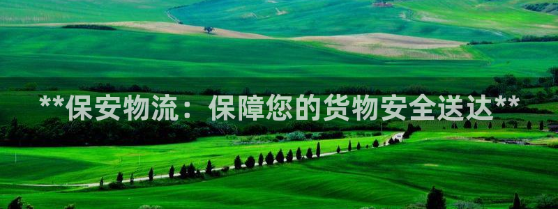 28圈.ccmpc预测