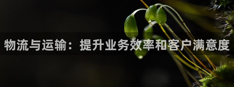 28圈ip被限制怎么解决：物流与运输