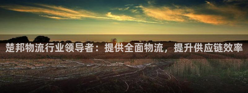 28圈模拟器在线玩：楚邦物流行业领导
