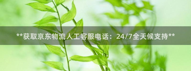 28圈充值不到账：**获取京东物流人
