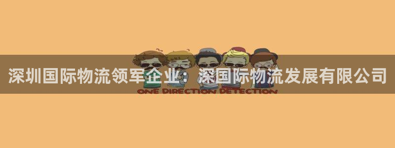 28圈.ccmpc正版：深圳国际物流