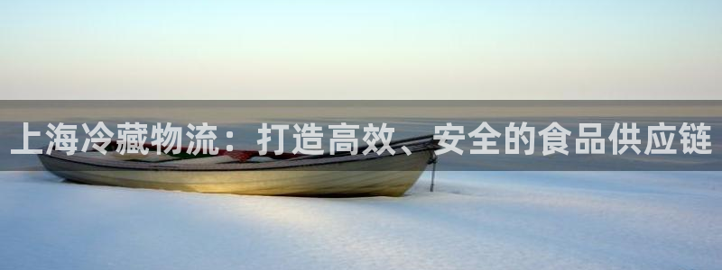 28圈登录流程：上海冷藏物流：打造高