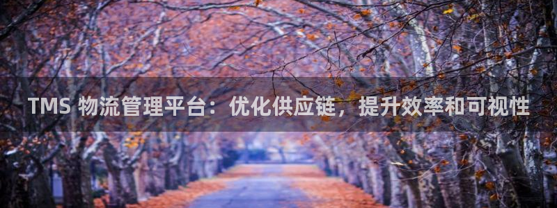 28圈是南宫旗下的吗