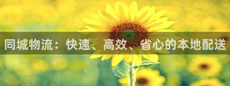 28圈反水什么时候到