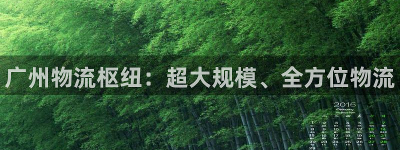 28圈是啥