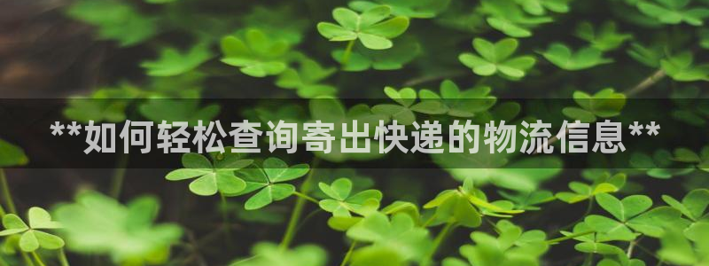 28圈官网平台：**如何轻松查询寄出
