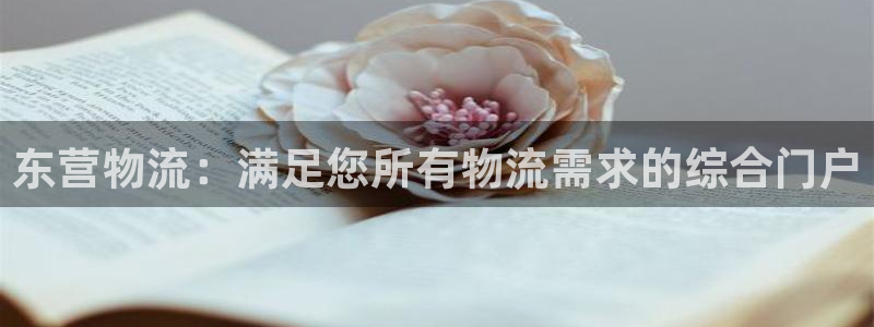 28圈pg麻将胡了：东营物流：满足您