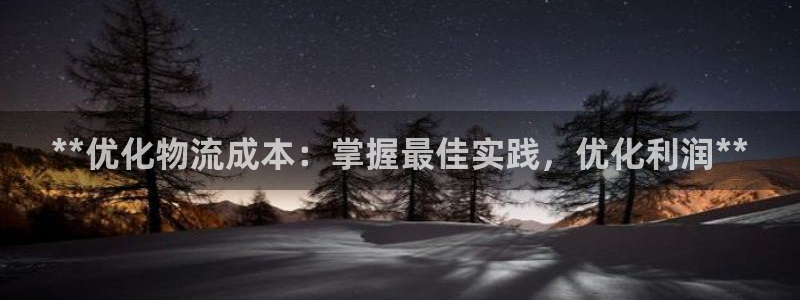 28圈连接：**优化物流成本：掌握最