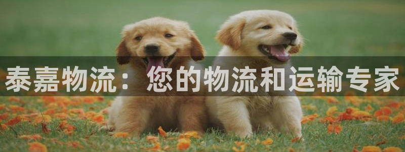 28圈注册网址：泰嘉物流：您的物流和