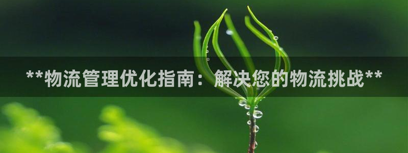28圈官网版2024：**物流管理优