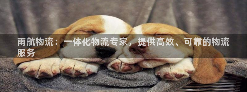 28圈游戏官网入口：雨航物流：一体化