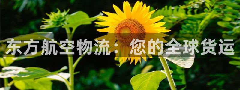28圈大舞台