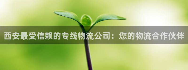 28圈注册：西安最受信赖的专线物流公