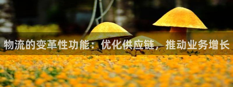 28圈能不能退：物流的变革性功能：优