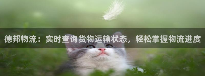 28圈人工客服电话是什么