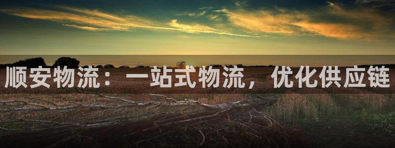 28圈官网注册：顺安物流：一站式物流