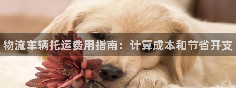 28圈app赢了500万：物流车辆托