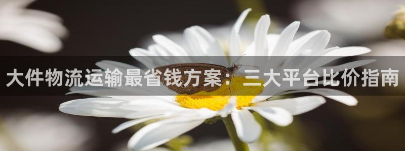 28圈注册号：大件物流运输最省钱方案