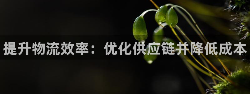 28圈入口问一问：提升物流效率：优化