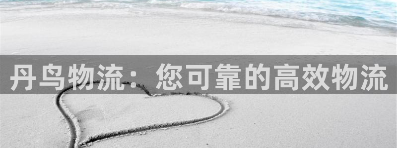 28圈下载不了：丹鸟物流：您可靠的高