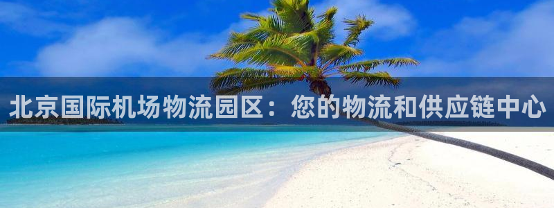 28圈的平台：北京国际机场物流园区：