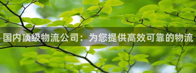 28圈充值方式：国内顶级物流公司：为