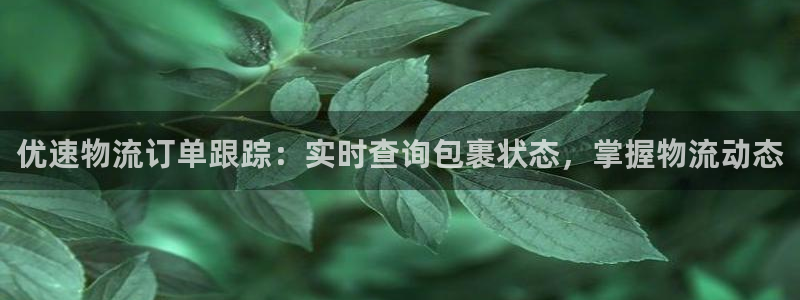 28圈加拿大：优速物流订单跟踪：实时