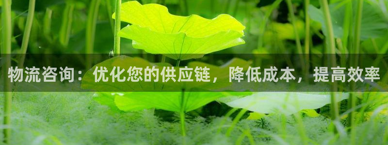 28圈加拿大pc预测：物流咨询：优化