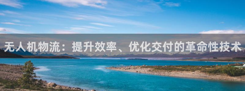28圈怎么注册游戏名字：无人机物流：