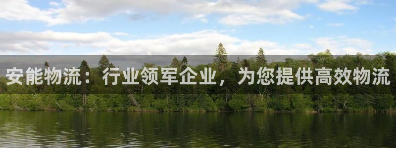 28圈返水怎么算的：安能物流：行业领