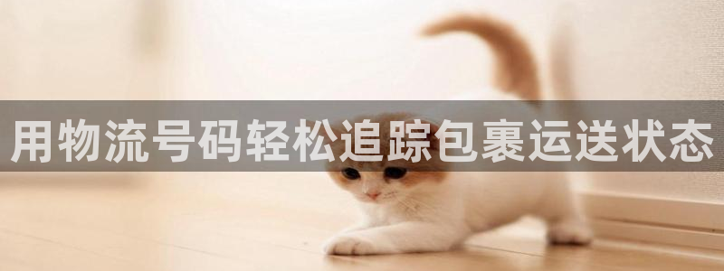 28圈怎么下载教程：用物流号码轻松追