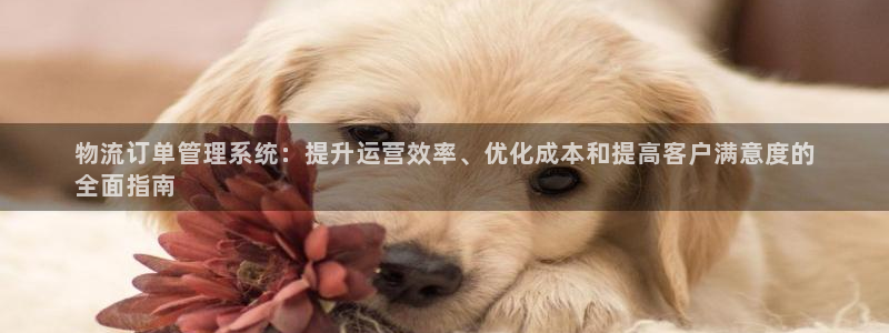 28圈pc预测：物流订单管理系统：提