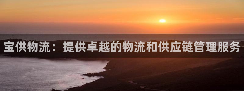 28圈：宝供物流：提供卓越的物流和供应链管理服务