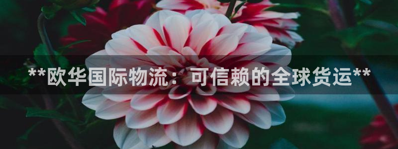 28圈自行车图片大全：**欧华国际物
