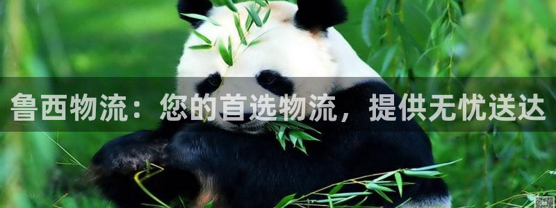 28圈登录流程：鲁西物流：您的首选物