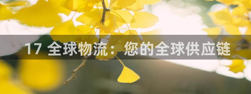 28圈退款： 17 全球物流：您的全