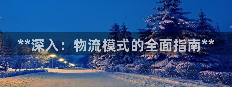 28圈官方官网：**深入：物流模式的