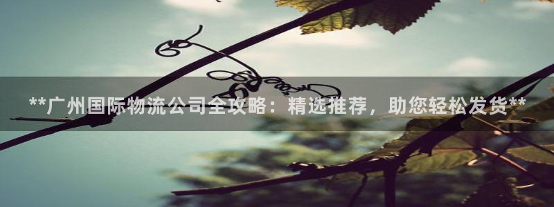 28圈激活码：**广州国际物流公司全