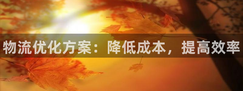 28圈加拿大pc预测：物流优化方案：降低成本，提高效率